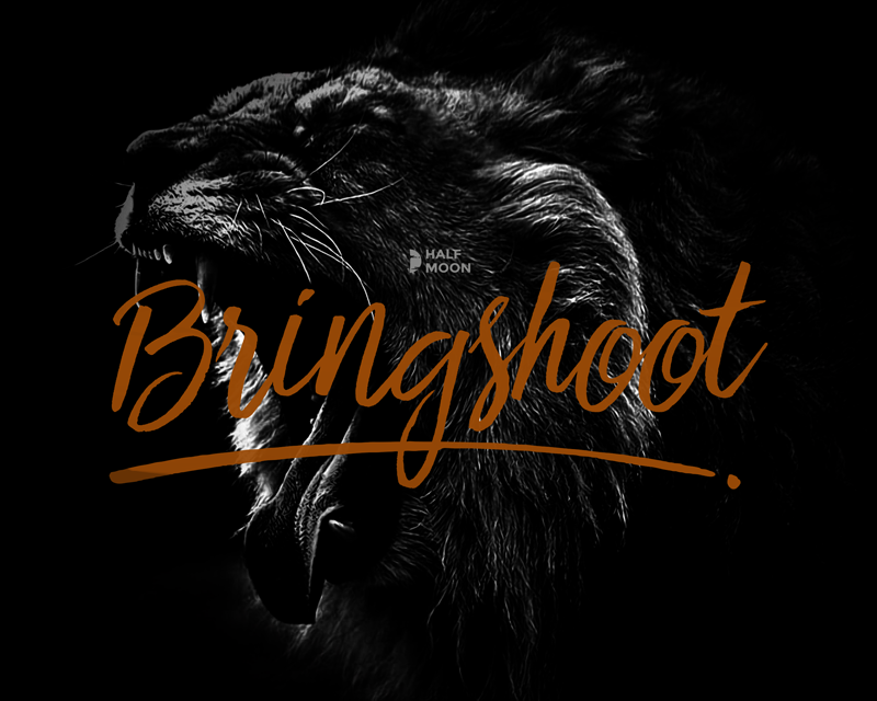 Bringshoot