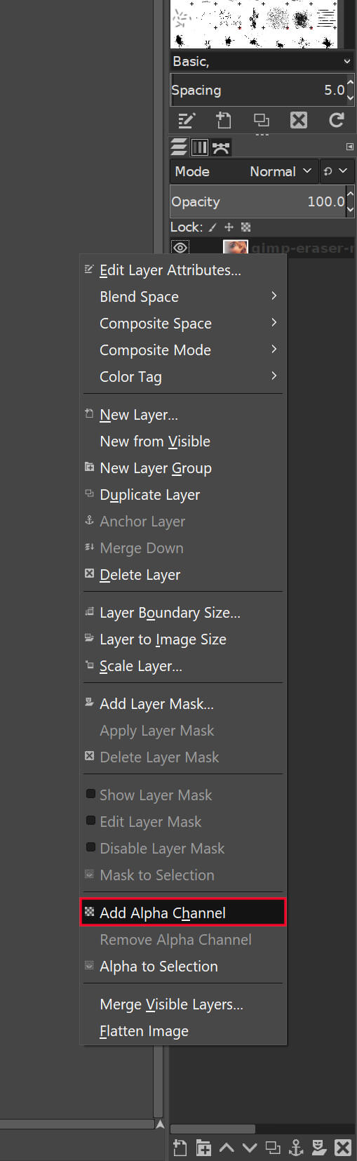 Adding an alpha channel in GIMP