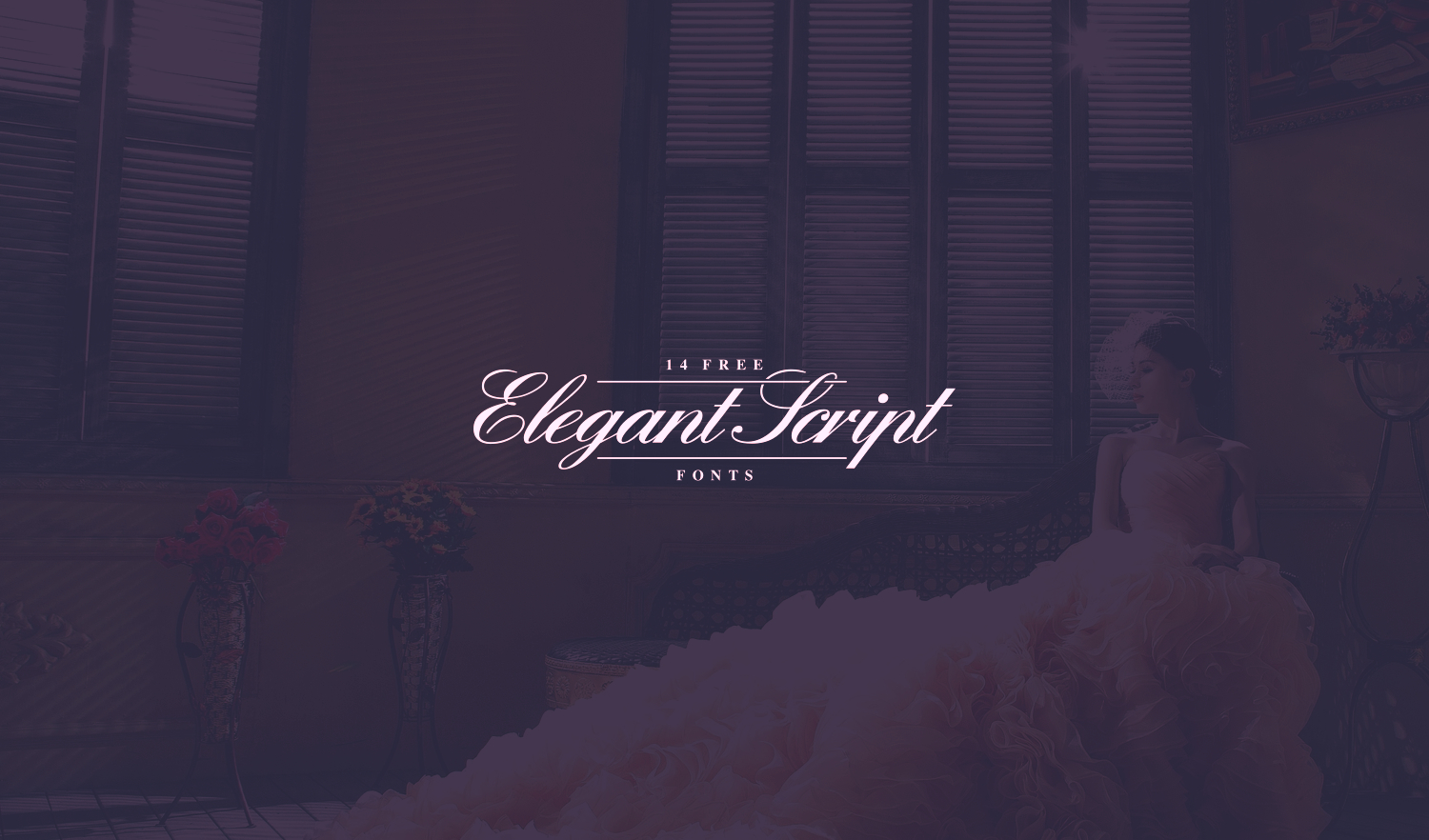 Best Free Elegant Script Fonts