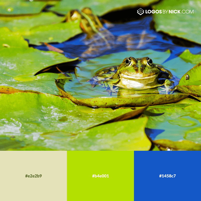 Lily pad colors