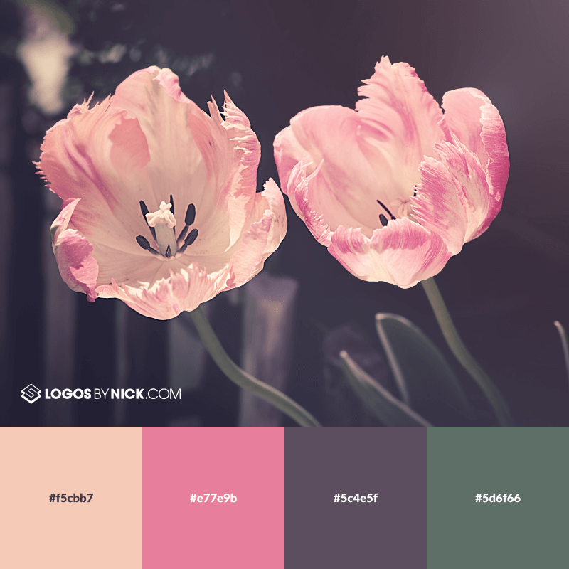 Pastel Rose Color Palette