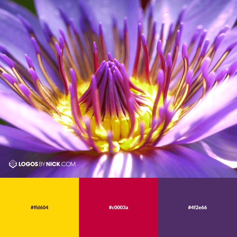 Violet color scheme