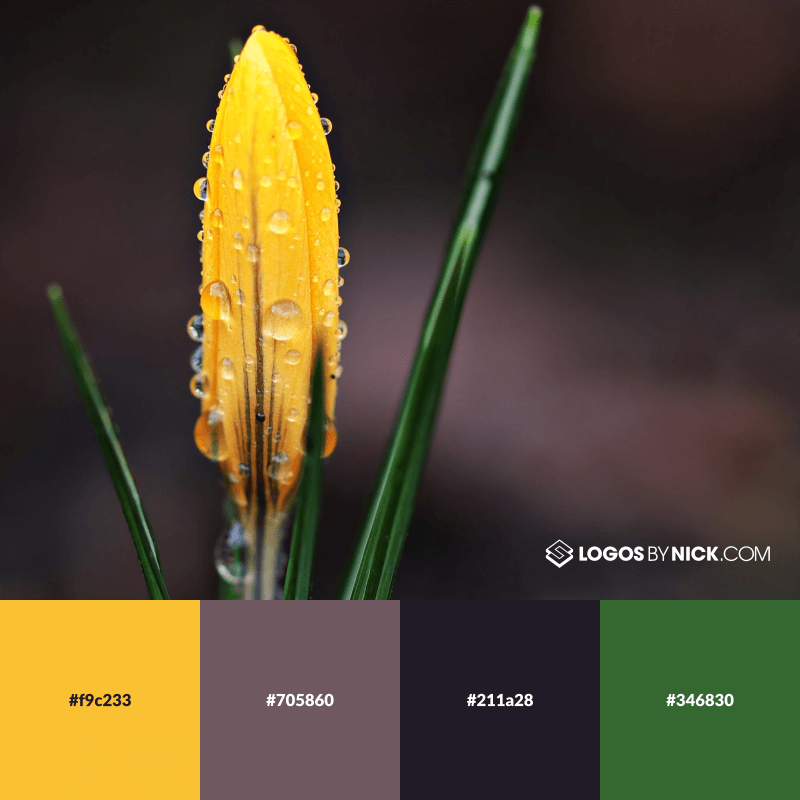 Yellow, purple and green color combination