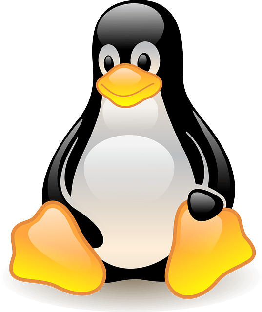 Linux penguin