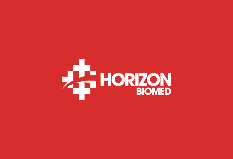 Horizon logo with colors inverted