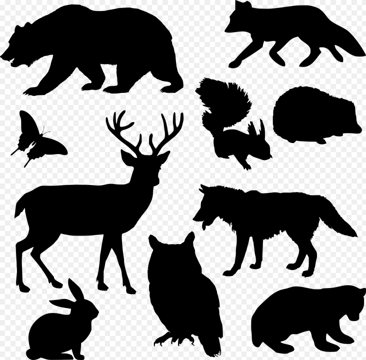 Animal silhouettes