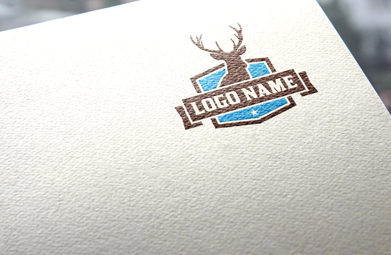 Logo mockup