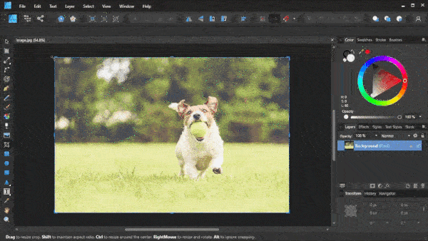 affinity photo crop to selection