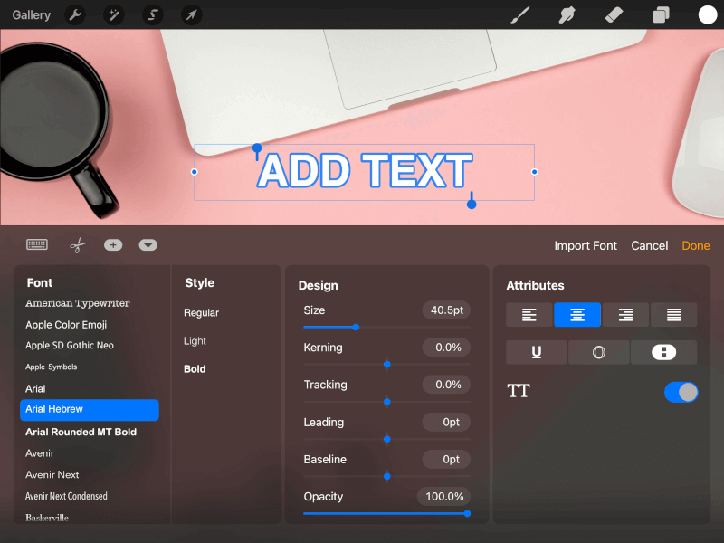 Edit Style menu in Procreate