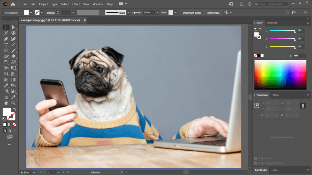 example-image – Logos By Nick