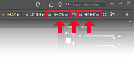 Width and height inputs